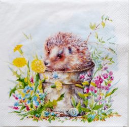 szalvéta ck27_c1103000