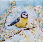 szalvéta ck28_c12520355