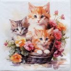 szalvéta ck28_c12520395