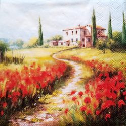 szalvéta ck52_c12520635