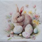 szalvéta ck54_c22520745