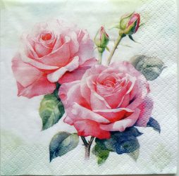 szalvéta ck39_c267130