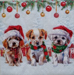 szalvéta ck49 c32520090