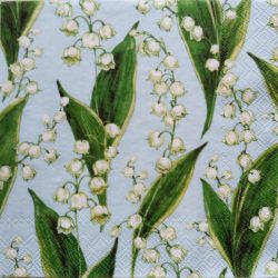 szalvéta ck37_c986749