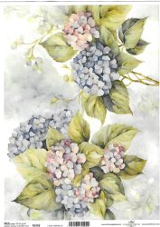 ITD rizspapírok A4 R2458