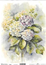 ITD rizspapírok A4 R2467