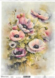 ITD rizspapírok A4 R2470