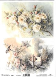 ITD rizspapírok A4 R2586