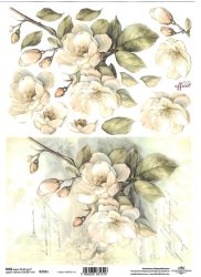 ITD rizspapírok A4 R2591