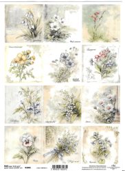 ITD rizspapírok A4 R2605