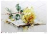 paperdesigne rizspapír A5 flowers - 0461