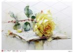 paperdesigne rizspapír A5 flowers - 0461