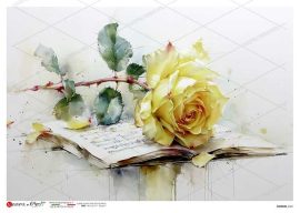 paperdesigne rizspapír A5 flowers - 0461 paperdesigne rizspapír A5 flowers - 0461