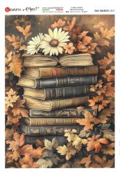 paperdesigne rizspapír A5 old objets - 0047