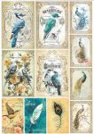 paperdesigne rizspapír A4 madár kollection - 08