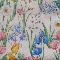 szalvéta  P43_sdwi006801