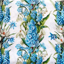 szalvéta  P43_sdwi009401