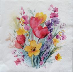 szalvéta  P43_sdwi010001