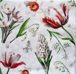 szalvéta  P43_sdwi010101