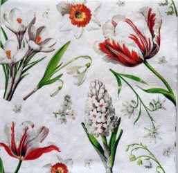 szalvéta  P43_sdwi010101