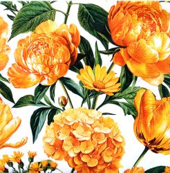 szalvéta  P43_slog062401