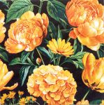 szalvéta  P43_slog062402