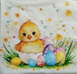 szalvéta  P55_slwl013101